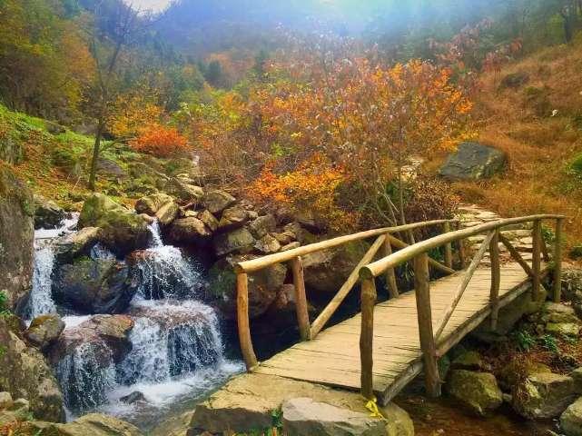 德古拉伯爵的住所